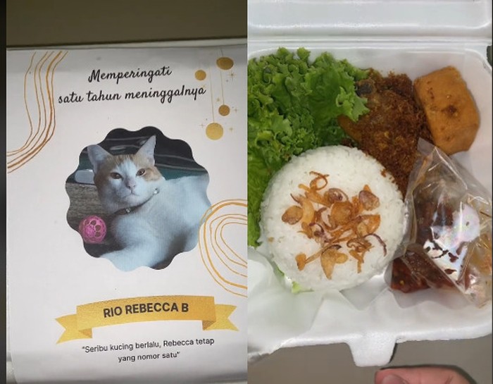 Viral! Orang Ini Bagikan Nasi Berkat Untuk Peringatan Kematian Kucingnya