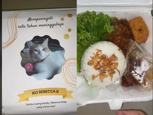 Viral! Orang Ini Bagikan Nasi Berkat Untuk Peringatan Kematian Kucingnya