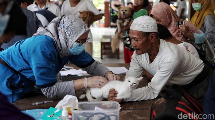 Vaksinasi untuk hewan peliharaan seperti anjing, kucing hingga kera terus digalakkan di Bekasi, Jawa Barat, Rabu (11/10). Kegiatan itu merupakan upaya untuk mewujudkan Provinsi Jabar bebas rabies.
