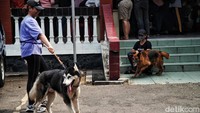 Masyarakat tampak antusias membawa binatang kesayangannya untuk disuntik.  