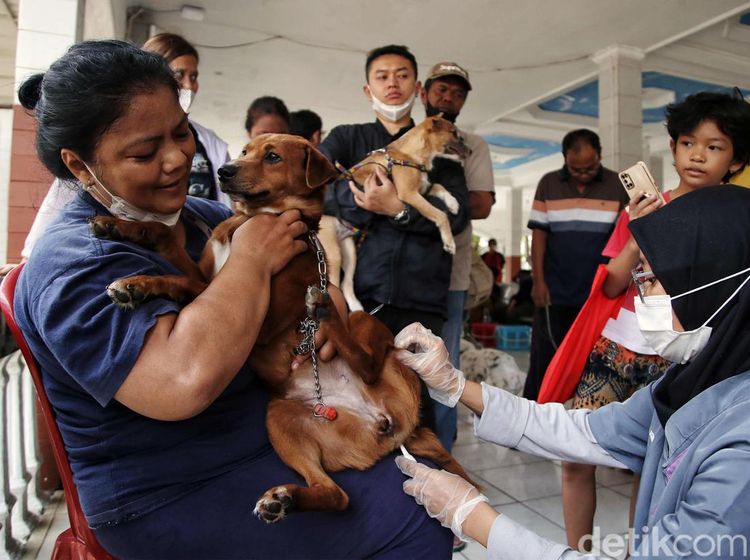 Anjing, Kucing dan Kera di Bekasi Divaksinasi untuk Cegah Rabies