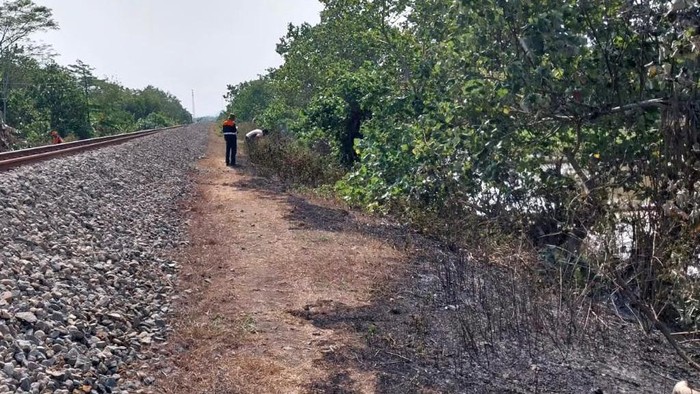 Petugas menyisir bekas lahan terbakar yang membahayakan perjalanan KA di petak jalan Maos-Sikampuh, Kabupaten Cilacap, foto diunggah Rabu (11/10/2023).