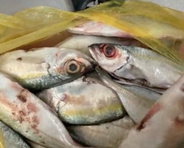 Duh! Beli Ikan di Pasar, Wanita Ini Diberi Ikan Busuk Oleh Penjualnya