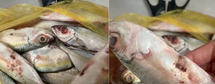 Duh! Beli Ikan di Pasar, Wanita Ini Diberi Ikan Busuk Oleh Penjualnya