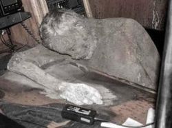 Deretan Foto Seram Punya Fakta Menakutkan