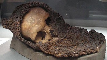 Tengkorak seorang prajurit abad pertengahan yang masih terbungkus rantai, meninggal dalam Pertempuran Visby pada tahun 1861. Foto: Twitter/CreepyKnowledge