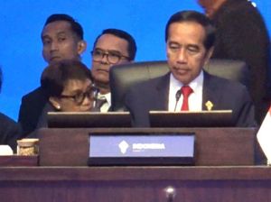 Janji Jokowi: RI Kasih Hibah untuk Atasi Perubahan Iklim-Tata Kelola Laut
