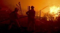 Sebanyak 960 petugas pemadam kebakaran bekerja untuk memadamkan kebakaran hutan dengan delapan pesawat pemadam kebakaran dan dua helikopter.  