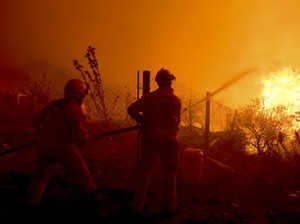 Api Unggun untuk Bikin Kopi Diduga Picu Kebakaran Hutan Argentina