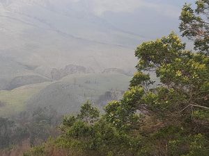 Savana Bromo Kembali Menghijau Usai Terbakar gegara Flare Prewedding