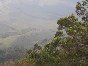Alhamdulillah, Savana Bromo yang  Hangus Terbakar Kembali Menghijau