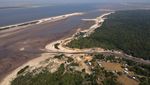 Ngeri! Sungai Amazon Mengering, Warlok Kurang Air Bersih, Lumba-lumba Mati
