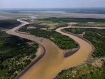 Air di Sungai Amazon Sempat Mengalir Mundur, Pertanda Apa?