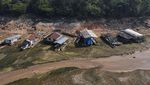 Ngeri! Sungai Amazon Mengering, Warlok Kurang Air Bersih, Lumba-lumba Mati