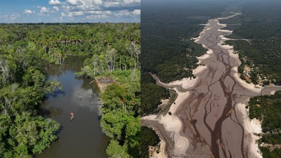 Sungai Amazon Mengering Dalam Waktu Singkat, Begini Potretnya