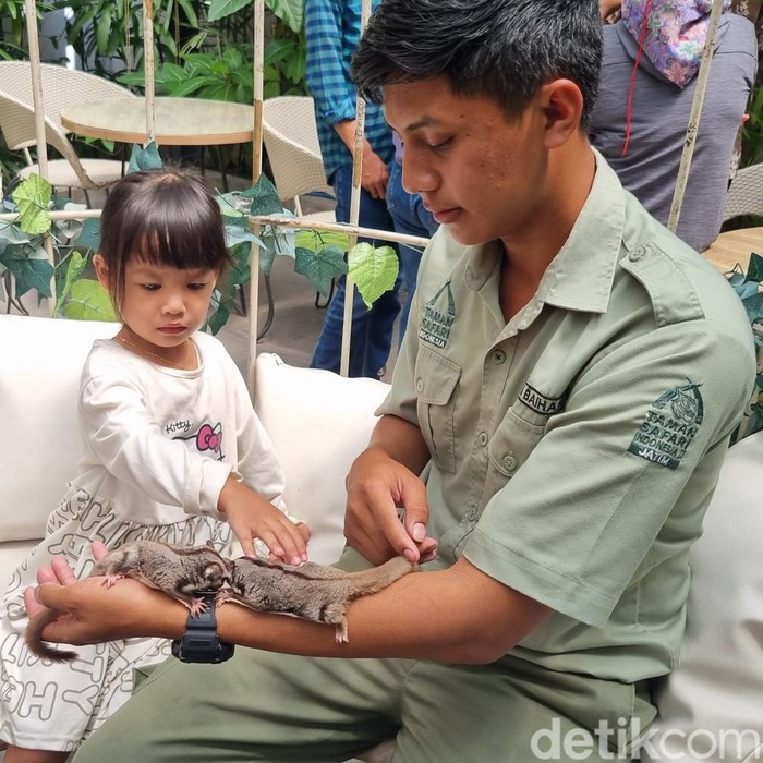Taman Safari
