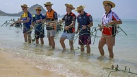 Mereka juga melakukan penanaman terumbu karang.  