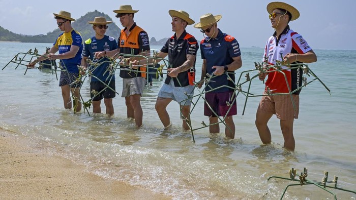 Pembalap MotoGP dari tim Aprilia Racing Maverick Vinales membawa transpalansi terumbu karang saat aksi penanaman terumbu karang dan bersih pantai pembalap MotoGP di Kuta Beach Park The Mandalika, Kuta, Lombok Tengah, NTB, Kamis (12/10/2023). Sebelum dimulainya Pertamina Grand Prix of Indonesia 2023 pada tanggal 13 - 15 Oktober 2023 para pembalap melakukan Beach Cleaning dan Coral Planting di pantai Kuta Mandalika bentuk aksi pergerakan waste4change untuk menunjukkan responsibilitas sosial korporasi (CSR) untuk keberlanjutan pelestarian lingkungan alam sekitar Lombok. ANTARA FOTO/Ahmad Subaidi/foc.