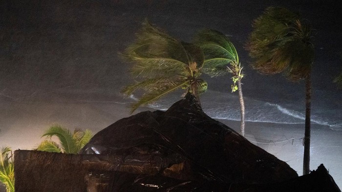 Badai Lidia Hantam Pantai Meksiko, Kehancuran Dimana-mana Women walk past a tree toppled by heavy winds in the aftermath of Hurricane Lidia, in Puerto Vallarta, Mexico October 11, 2023. REUTERS/Christian Ruano