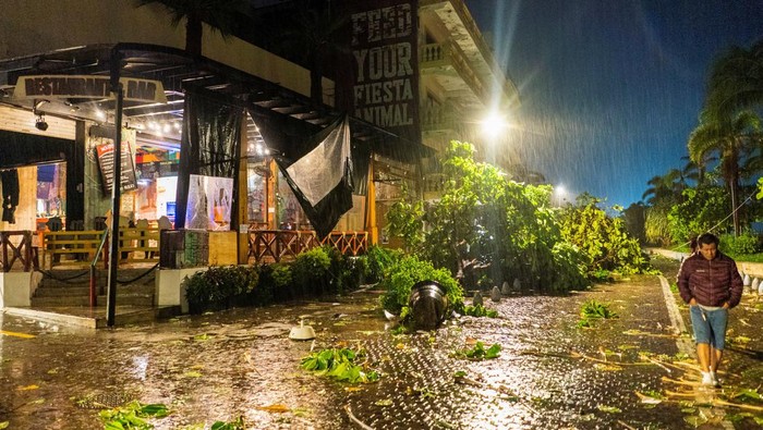 Women walk past a tree toppled by heavy winds in the aftermath of Hurricane Lidia, in Puerto Vallarta, Mexico October 11, 2023. REUTERS/Christian Ruano
