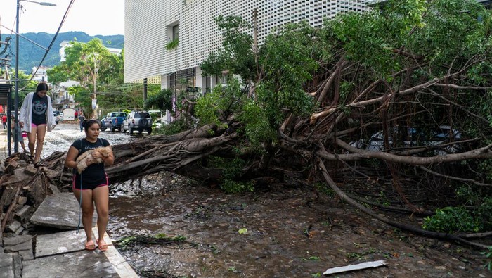 Women walk past a tree toppled by heavy winds in the aftermath of Hurricane Lidia, in Puerto Vallarta, Mexico October 11, 2023. REUTERS/Christian Ruano