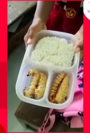 Bekal ulat sagu