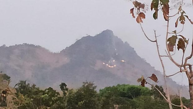 Bukit Cumbri terlihat dari wilayah Desa Kepyar, Kecamatan Purwantoro, Wonogiri. Bukit ini sempat terbakar pada Rabu (11/10/2023).