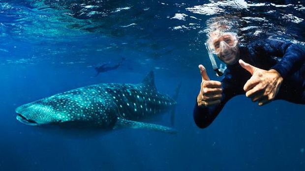 Daniel Ricciardo Promosi Wisata Australia Barat