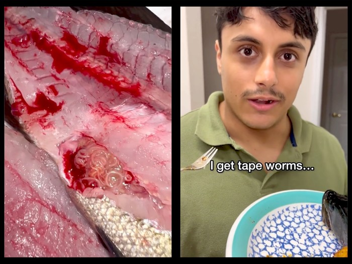 Demi Viral, Pria Ini Makan Ikan yang Mengandung Cacing Pita!