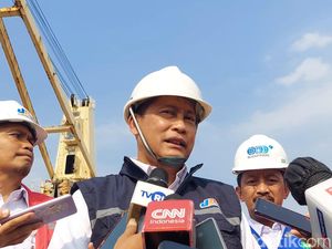 Buwas Buka-bukaan soal Alasan Impor Beras dari China