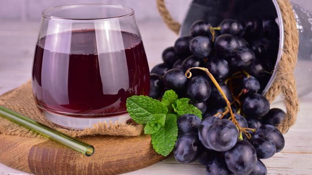 Ilustrasi anggur hitam Ilustrasi anggur hitam