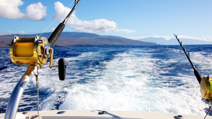 Trolling rods for deep sea fishing