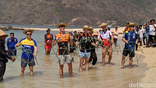 Maverick Vinales dan para rider lainnya saat menanam terumbu karang di Pantai Kuta Mandalika, Kamis (12/10/2023). (Ahmad Viqi/detikBali)