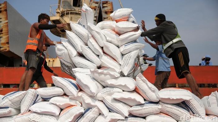 Penampakan 24.000 Ton Beras Impor Vietnam Tiba di Priok