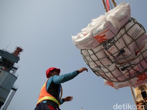 RI Terpaksa Impor Beras Gegara El Nino Bikin Luas Lahan Turun-Produksi Anjlok