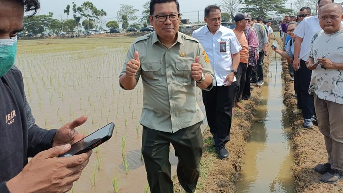 Plt Menteri Pertanian Arief Prasetyo Adi melakukan kunjungan kerja ke Karawang