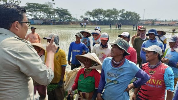 Plt Menteri Pertanian Arief Prasetyo Adi melakukan kunjungan kerja ke Karawang