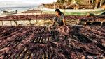 Tradisi Unik Tnyafar di Pulau Selaru