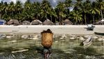 Tradisi Unik Tnyafar di Pulau Selaru
