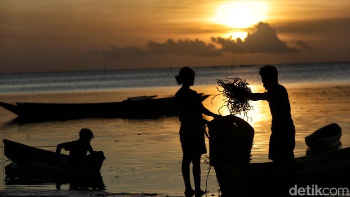 Tnyafar, Kearifan Lokal Masyarakat Tanimbar Ada hal yang menarik dari masyarakat di Kepulauan Tanimbar, Maluku. Namanya βTnyafarβ? Tradisi unik ini dilakukan oleh warga Desa Adaut sejak zaman nenek moyang dan menjadi salah satu cara bertahan hidup khas masyarakat setempat.