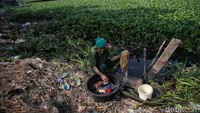 Salah satu warga mencuci baju di sungai yang kotor di kawasan Desa Muara Bakti. Warga tersebut mengaku terpaksa mencuci di sungai itu karena air sumurnya kuning karena kemarau.  