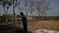 Berdasarkan hasil pemetaan, kebutuhan utama warga terdampak kekeringan ini meliputi air bersih, bak penampungan air, jerigen air, hingga permintaan penyambungan saluran pipa PDAM.  