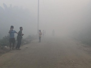1 Heli-12 Mobil Damkar Belum Mampu Padamkan Kebakaran Hebat TPA Suwung