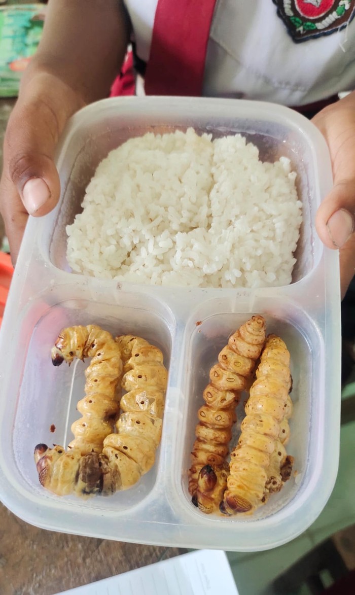 Bekal siswa SD Meduri V Bojonegoro dengan lauk ulat turi.