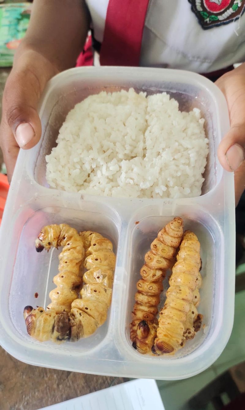 Bekal siswa SD Meduri V Bojonegoro dengan lauk ulat turi.
