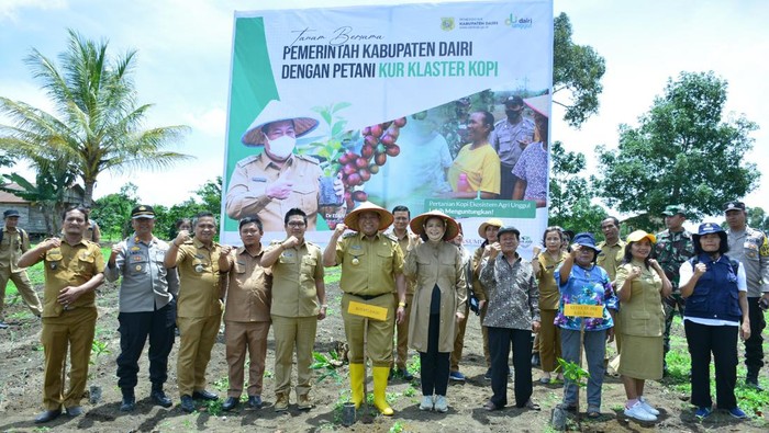 Bupati Dairi Genjor Kopi