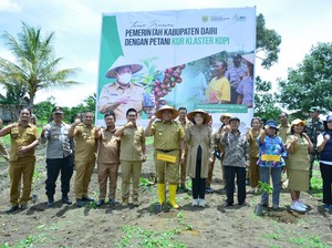 Langkah Strategi Bupati Dairi Dongkrak Produksi Kopi Sidikalang