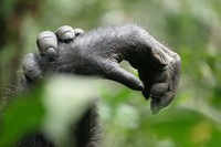 CEWE Photo Awards  2023