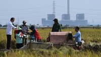 Kunjungan Jokowi sekaligus juga membagikan bantuan secara langsung kepada para petani.  