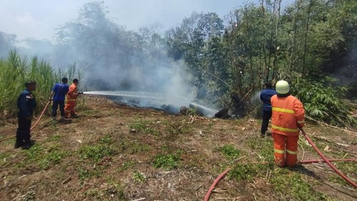 Kejadian kebakaran lahan atau kebun milik warga di Desa Banyubiru, Kecamatan Negara, Kabupaten Jembrana, Kamis (12/10/2023).